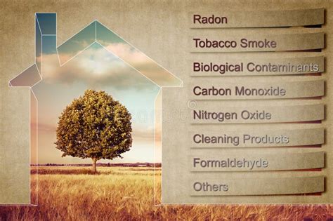 The Most Common Dangerous Domestic Pollutants We Can Find In Our Homes