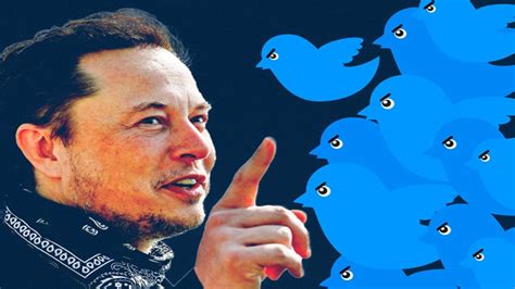 Elon Musk Acquires Twitter For 44 Bn Business Guardian