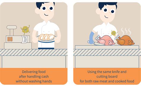 Food Hazards And Food Contamination