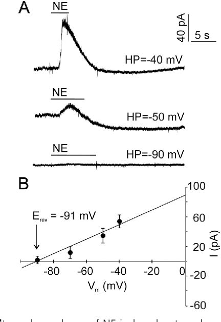 Figure 5 From Norepinephrine Causes A Biphasic Change In Mammalian