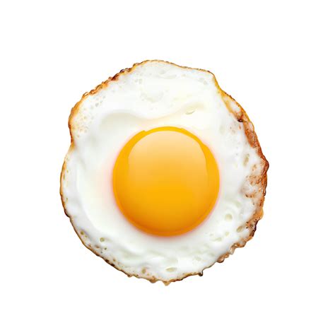 White Egg No Background