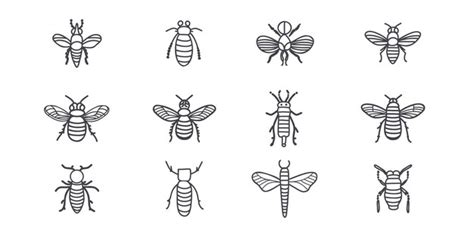 Premium Vector Set Of Insects Hand Drawn Doodle Vector Illustration