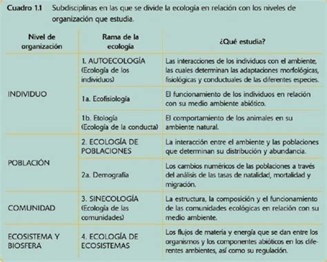 Ramas De La Ecología