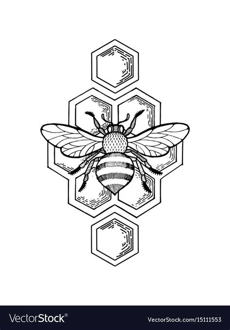 Bee And Honeycombs Engraving Style Royalty Free Vector Image