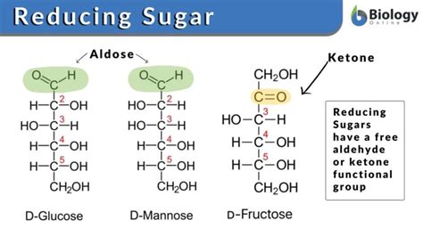 Monosaccharide Definition And Examples Biology Online Dictionary