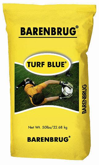 Seed Turf Turf Blue® Barenbrug Usa