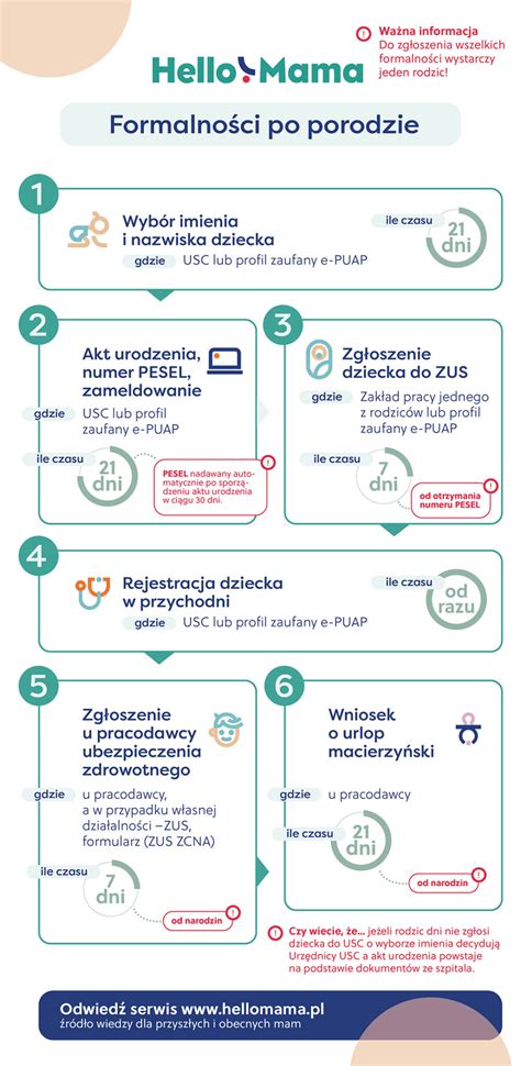 Formalności po porodzie infografika HelloMama