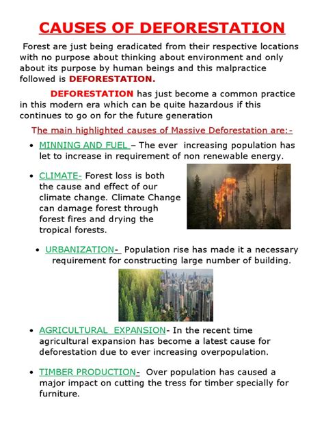 Causes of Deforestation | PDF