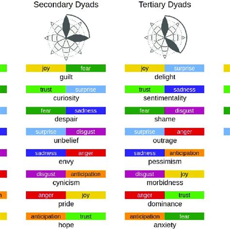 Representation Of Emotions And Primary Secondary Tertiary And