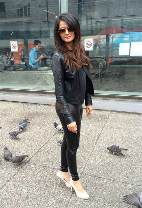 Surveen Chawla Hot Pictures Kollywood Zone