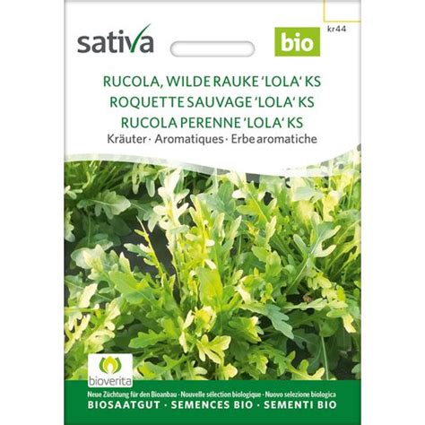 Sativa Bio Kräuter Rucola Wilde Rauke Lola KS 1 Packung