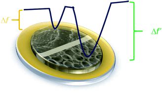 Surface Enhancement Of A Molecularly Imprinted Polymer Film Using