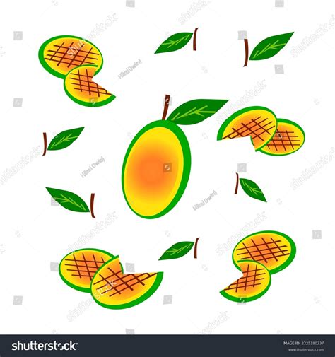 Graphic Illustration Sliced Fruit Looks Refreshing Stock Vector