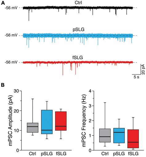 Frontiers Bidirectional Modulation Of Neuronal Cells Electrical And