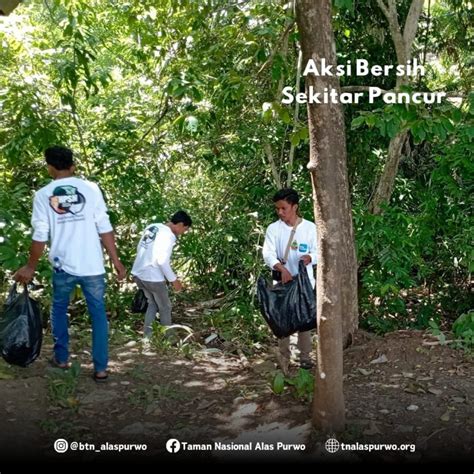 Aksi Bersih Tn Alas Purwo Dengan Pt Pln Dalam Rangka Peringatan Hari