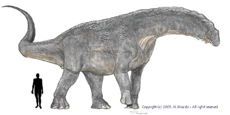 Titanosaur Size