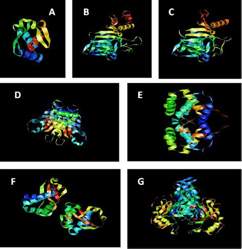 Pdb Structure Of Selected Proteins Using Swiss Model A Np B Vp C