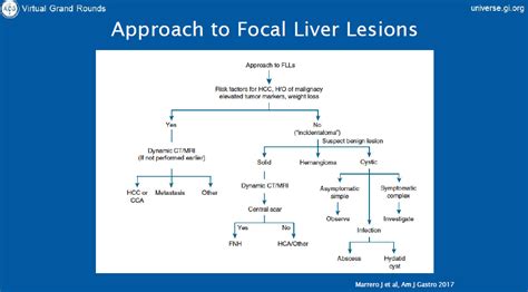 Ultrasonido Lesiones Focales Del H Gado Gastro M Rida