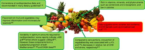 Optimum Nutritional Strategies For Cardiovascular Disease Prevention