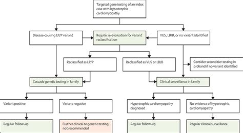 Hypertrophic Cardiomyopathy A Practical Approach To Guideline Directed