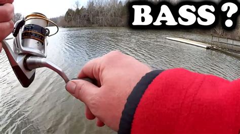 Early Spring Bass Fishing Realistic Fishing