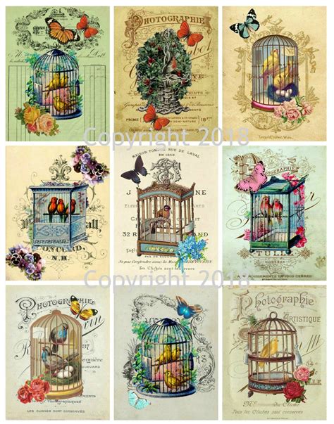 Vintage Victorian Birdcages Collage Sheets Instant Digital Download For