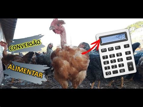 Como Calcular A Convers O Alimentar Youtube