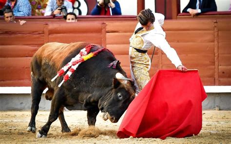 Mario Alcalde, de la raza al buen toreo en Las Ventas - Aplausos.es