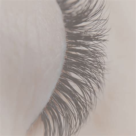 Lash Extensions Aesthetics By Km Enhance Your Beauty With Stunning