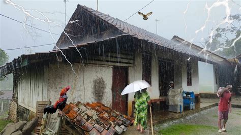 Hujan Deras Mengguyur Kampung Begitu Sejuk Petualang Alam Desaku Di