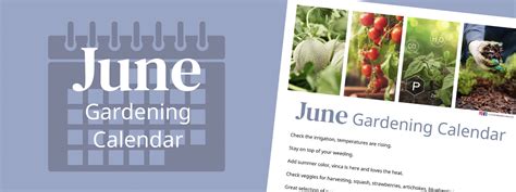 June Gardening Calendar California Summerwinds Nursery