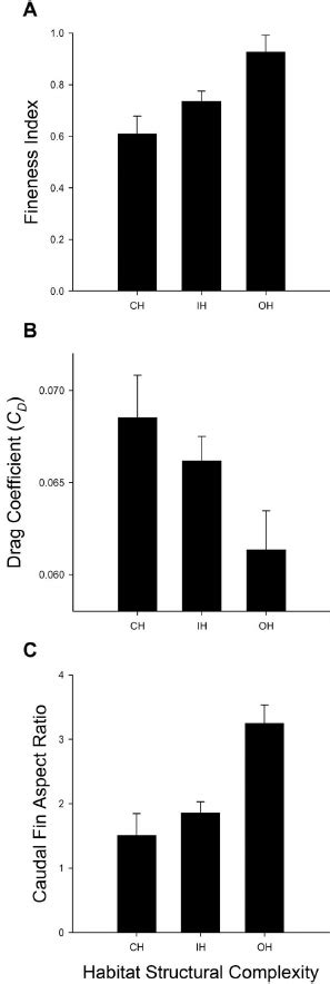 6 Association Between Morphology And Habitat Structural Complexity For Download Scientific