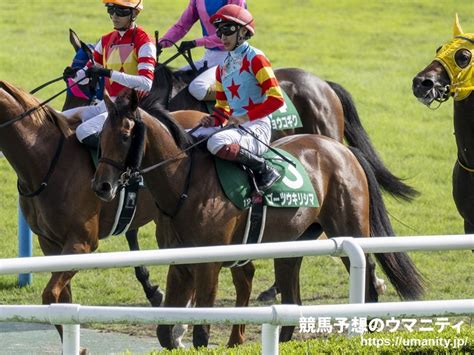 リトルポッド競走馬2020年産 成績｜地方競馬予想のウマニティ