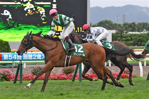 【競馬】最強の逃げ馬5選│何でもにゅーす速報