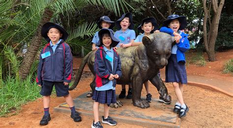 Blog Wild And Wonderful Encounters Exploring Perth Zoo