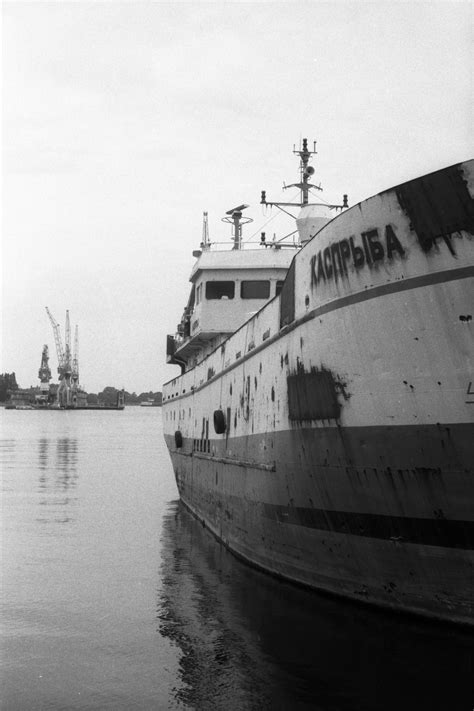 Cohost Ship