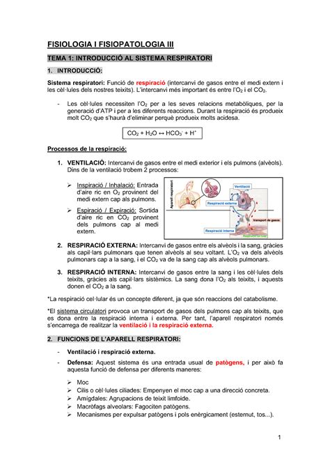 Tema Apunts Tema Fisiologia I Fisiopatologia Iii Tema