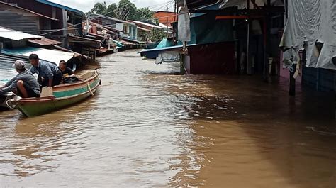 Banjir Di Sintang Rendam Ribuan Rumah Warga BNPB Desak Pemerintah