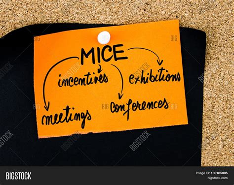 Business Acronym Mice Image & Photo (Free Trial) | Bigstock