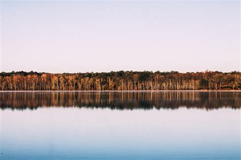 Free Images Landscape Sea Coast Nature Forest Ocean Horizon Marsh Wilderness Sunrise