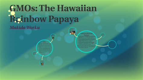 Gmos The Hawaiian Rainbow Papaya By Makida Worku On Prezi