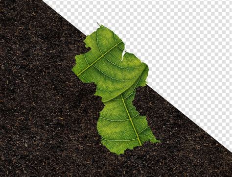 Premium PSD Guyana Map Made Of Green Leaves On Soil Background