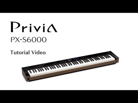 Casio Px S Bk Clavier Avec Dynamique Kytary Fr