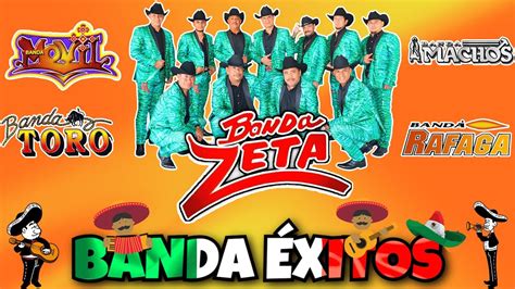 Banda Zeta Banda Machos Banda Movil Banda Ráfaga Banda Toro Puras