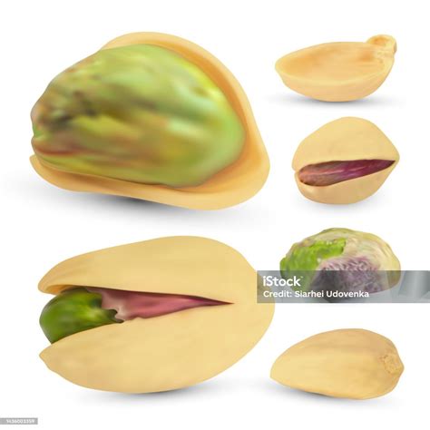 Salted Pistachio Nuts Set Realistic Raw Kernel Isolated On White