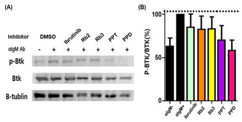 Ijms Free Full Text Molecular Drug Discovery Of Single Ginsenoside