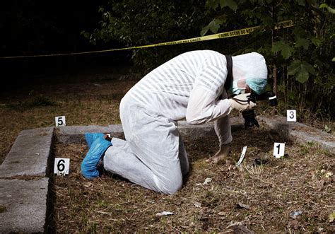 The CSI Effect How Your Favorite TV Shows Can Affect You