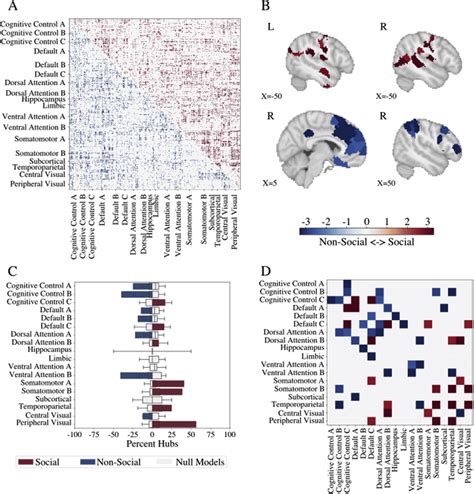 Patterns Of Functional Connectivity In The Brain Are Distinct For