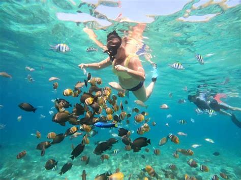 Lombok Gili Nanggu Sudak And Kedis Private Snorkeling Tour Getyourguide