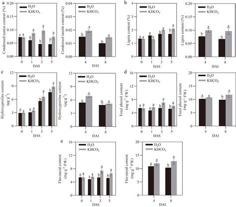 Effects Of KHCO3 Spraying On Phenylpropanoid Metabolite Content In